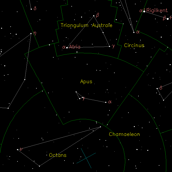 The Constellation Apus. Credit: iau.org