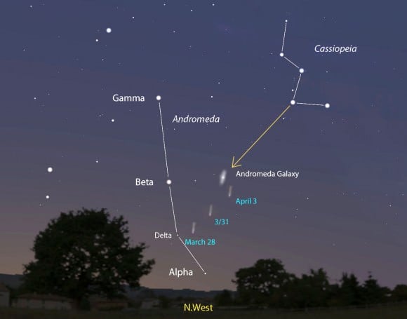 Comet PANSTARRS shown every three days as it moves across Andromeda, passing near the Andromeda Galaxy around April 3. You can use Cassiopeia to point you to Beta Andromedae and from there to the comet. The map shows the sky facing northwest about one hour after sunset. Comet and galaxy brightness are exaggerated for the sake of illustration. Stellarium