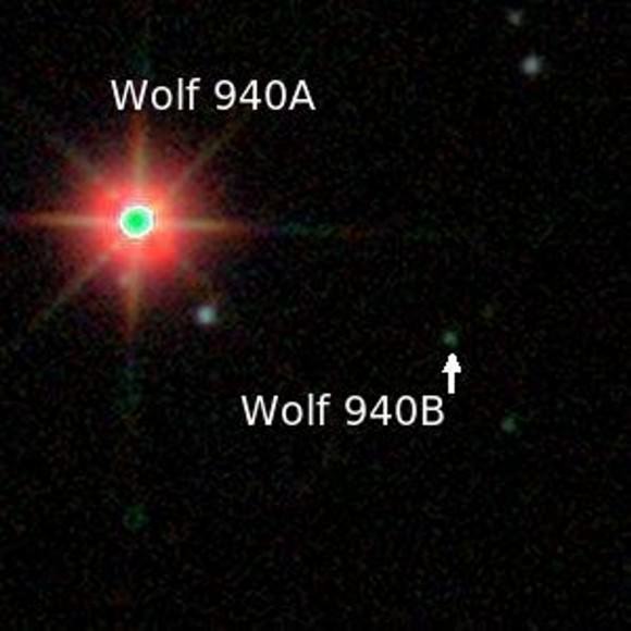 wolf940a-b-580x580.jpg