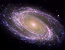 M81. Image credit: NASA/JPL-Caltech/ESA/Harvard-Smithsonian CfA 