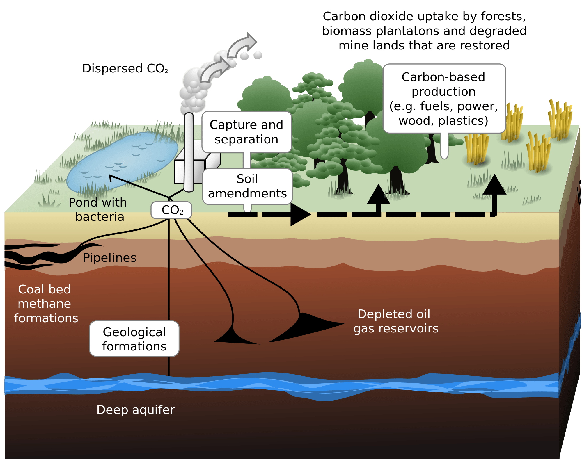 How Does Carbon Capture Work Universe Today