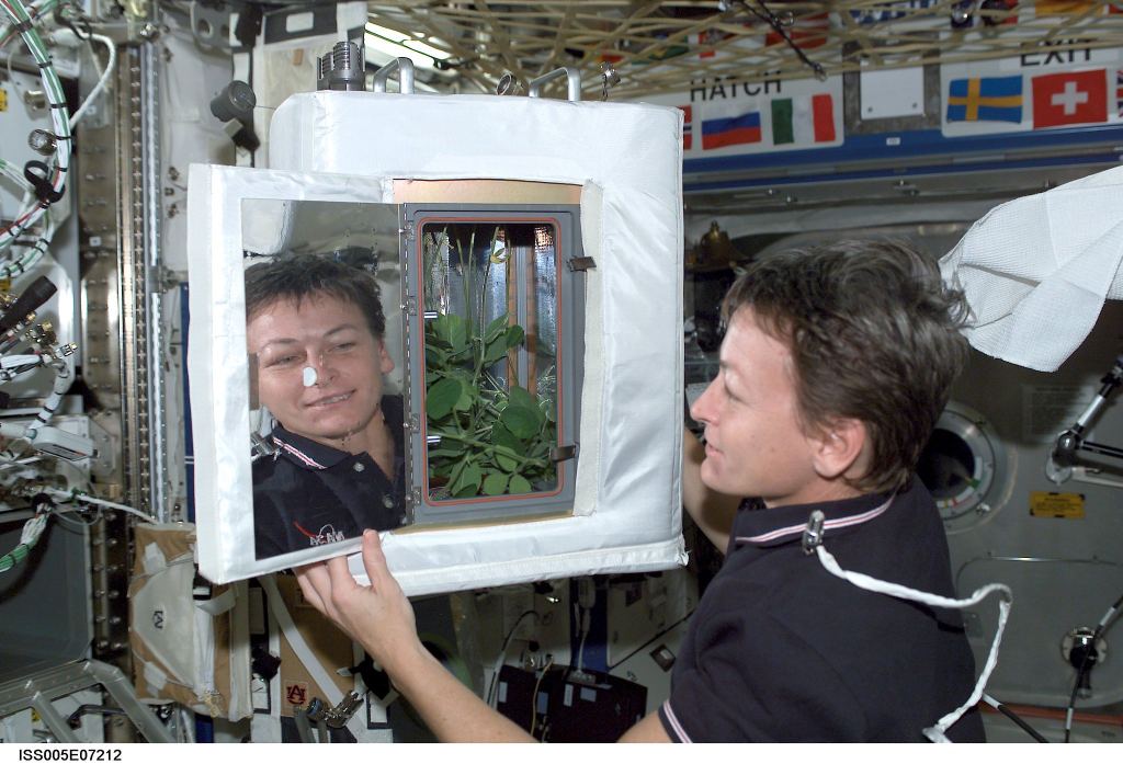 NASA astronaut Peggy Whitson looks at the Advanced Astroculture Soybean plant growth experiment.
Credits: NASA