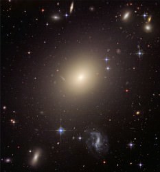 Elliptical galaxy ESO 325-G004. ESO