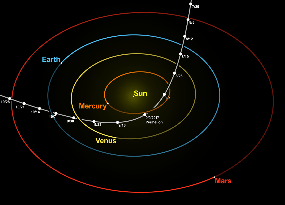 Oumuamua's hyperbolic trajectory through our Solar System. Image Credit: By nagualdesign; Tomruen - Own work made with , trajectory data from JPL Horizons, redrawn by nagualdesign., CC BY-SA 4.0, https://commons.wikimedia.org/w/index.php?curid=64505953