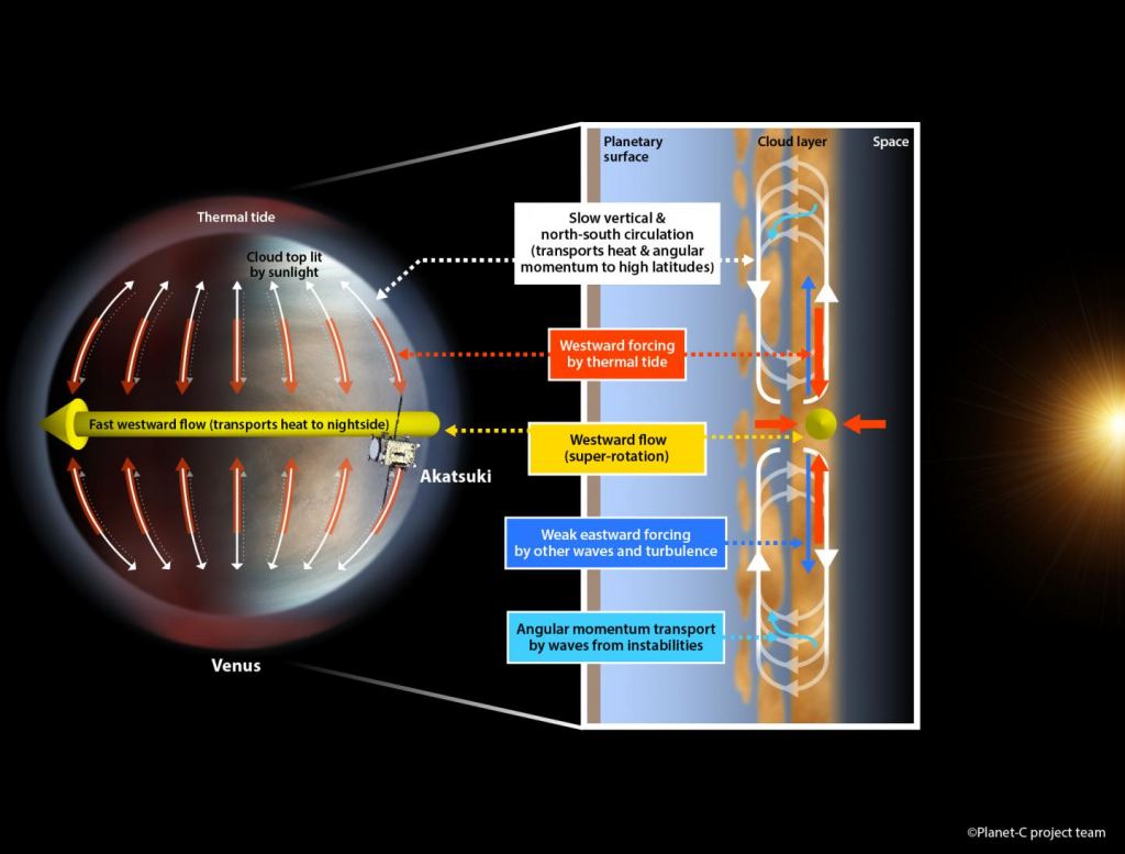 The proposed system that maintains the super-rotation (yellow) of Venus' atmosphere. The thermal tide (red) towards the equatorial top enforces the westward super-rotation. The atmosphere is controlled by a dual circulation system: the meridional (vertical) circulation (white) that slowly transports heat towards the poles and the super-rotation that rapidly transports heat towards the planet's nightside. Credit: Planet-C project team