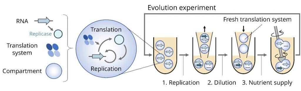 Laboratory setup creating self-replicating RNA molecules.