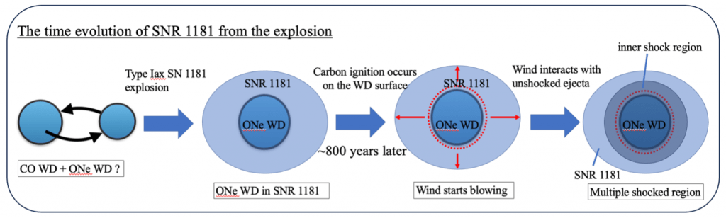 The evolution of SNR 1181. This illustration charts the evolution of the SNR 1181 remnant, from its creation when a carbon-oxygen-based white dwarf and oxygen-neon white dwarf merged in a kilonova, to the formation of its two shock regions. © 2024 T. Ko
