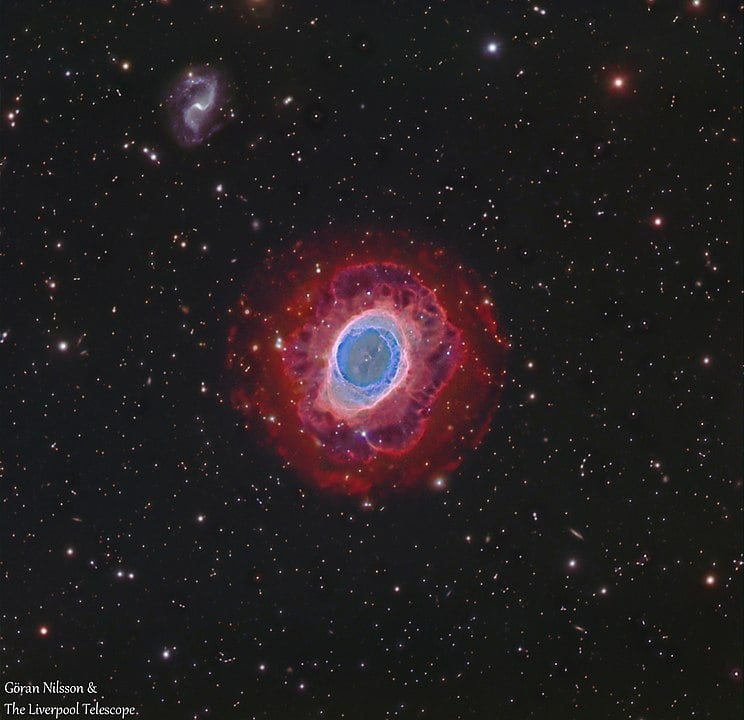 This image of the ring nebula, also called M57, shows the intricate filaments and blobs of gas and dust that surround the white dwarf in the center. Image Credit: By Göran Nilsson & The Liverpool Telescope - Own work, CC BY-SA 4.0, https://commons.wikimedia.org/w/index.php curid=63295181