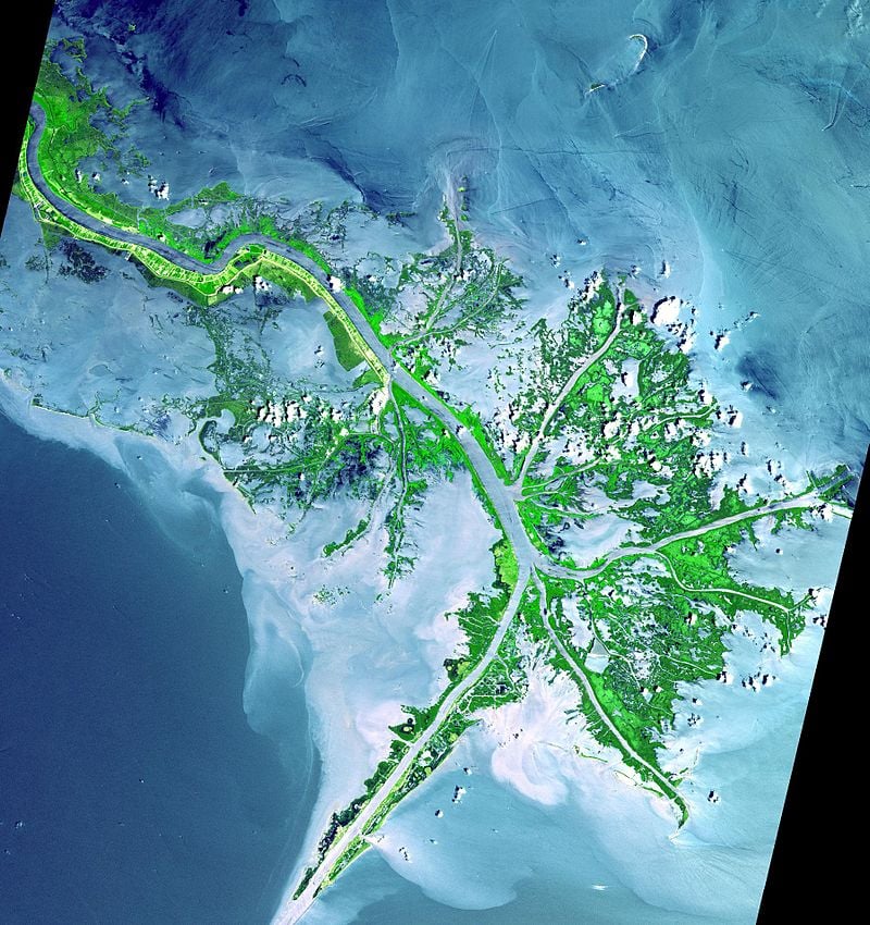 Image of the Mississippi river delta.