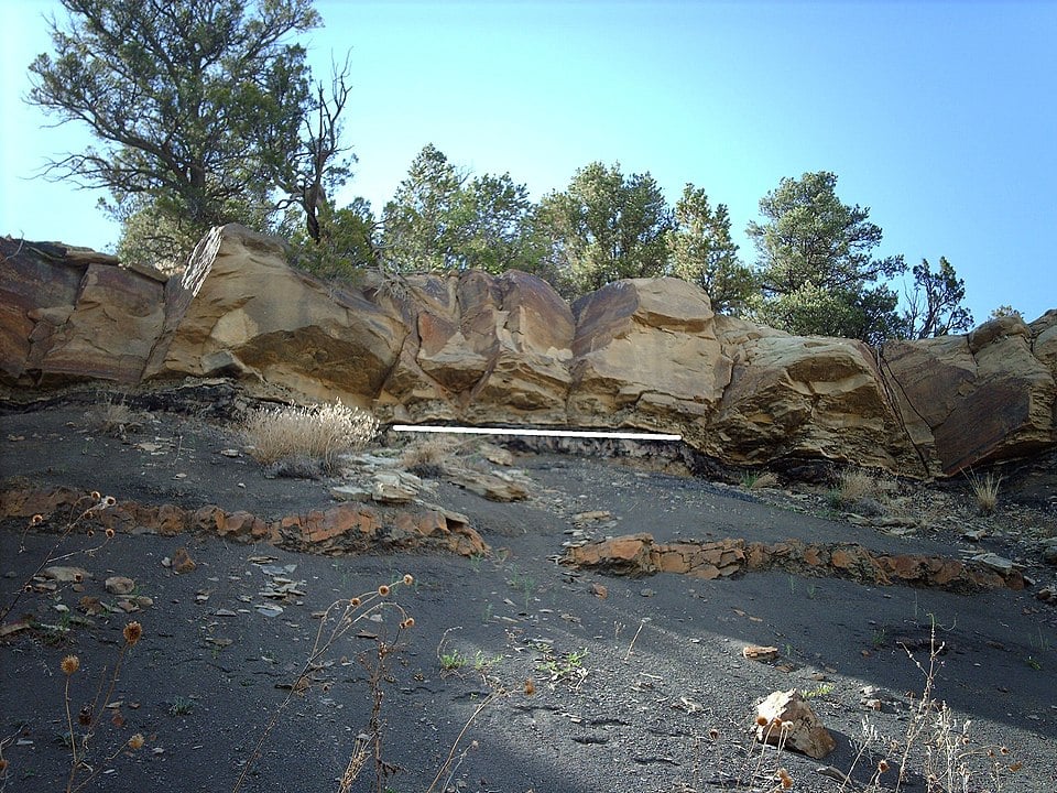 The white line marks the K-Pg boundary in exposed rock in Trinidad Lake State Park, Colorado. Image Credit: By Modified by User:Geologyguy (added a line to indicate the Cretaceous–Paleogene boundary) - Original image taken and uploaded by User:Nationalparks, CC BY-SA 2.5, https://commons.wikimedia.org/w/index.php?curid=42672785