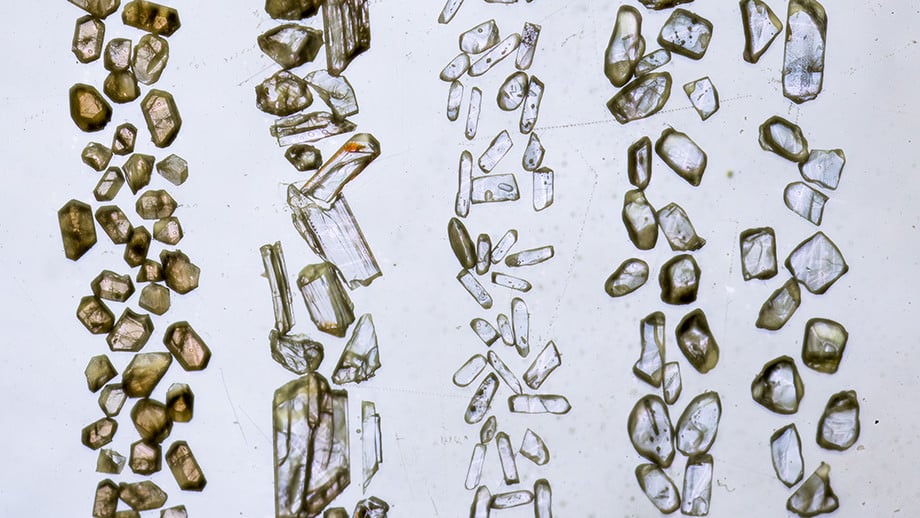 Zircon crystals from the Jack Hills in western Australia are the oldest rock fragments ever found. Image: Stuart Hay, ANU