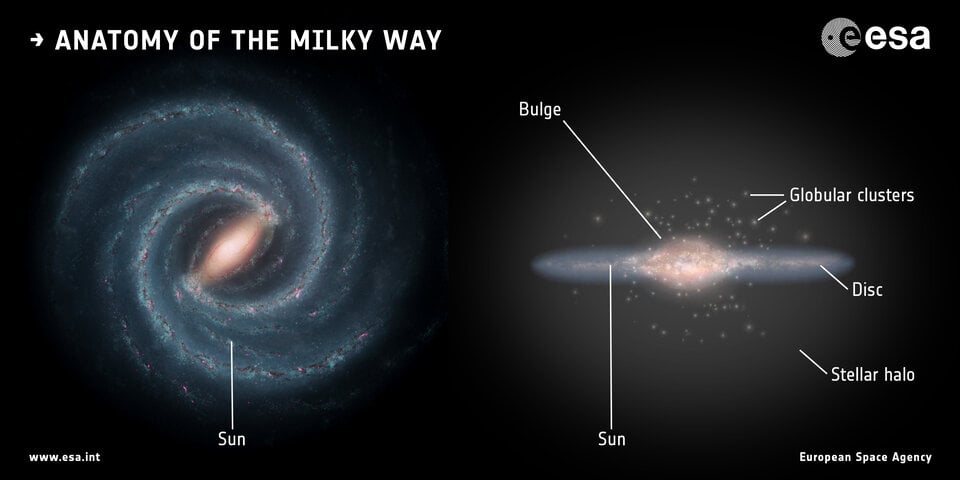 The anatomy of the Milky Way. Image Credit: ESA