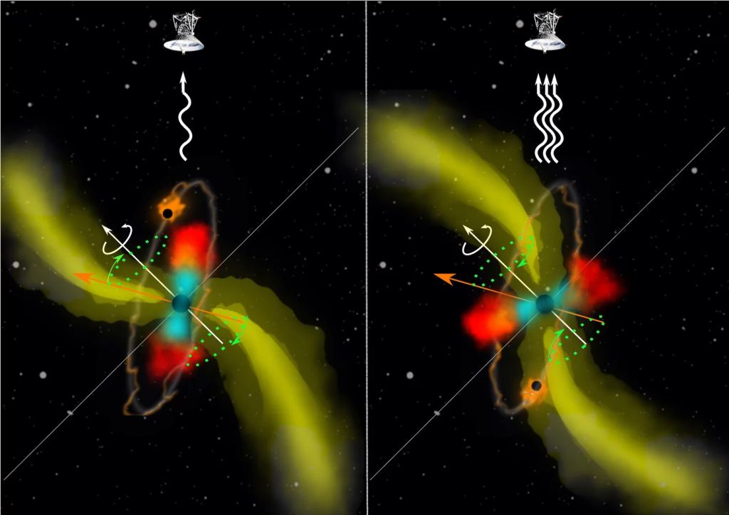 A magnetized radio jet (yellow), precessing due to a pair of supermassive black holes. The larger one is shown in black at the center of the accretion disk. It contains warmer (blue) and cooler (red) gas. The white arrow indicates the spin of the larger black hole. The second black hole orbits (orange) around the central supermassive black hole and the orange arrow shows the orientation of its orbital angular momentum. Due to misalignment, torque from the secondary drives the precession of the accretion disk as well as the launched jet (green circle and arrows). Radio emission is indicated with white curved lines. These show how the jet swirls around and produces variations in radio emission. Courtesy: Michal Zaja?ek/UTFA MUNI