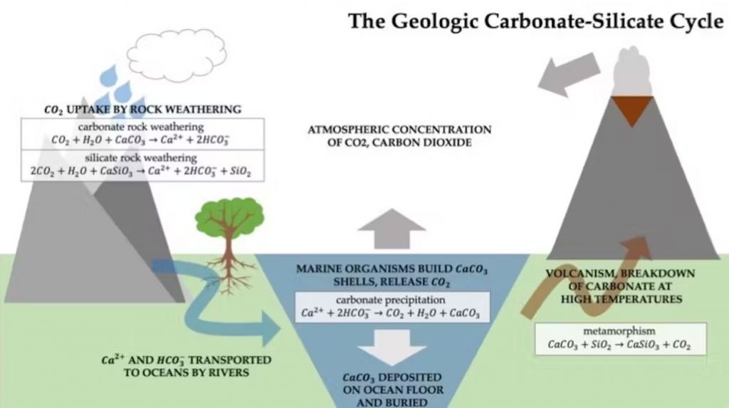 When carbonic acid dissolves calcium and magnesium silicate minerals, they break down into dissolved compounds, some of which contain carbon. These materials can flow to the ocean, where marine organisms use them to build shells. Later the shells are buried in ocean sediments. Volcanic activity releases some carbon back into the atmosphere, but much of it stays buried in rock for millions of years. Gretashum/Wikipedia, CC BY-SA