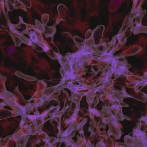 An image based on a supercomputer simulation of the cosmological environment where primordial gas undergoes the direct collapse to a black hole. Credit: Aaron Smith/TACC/UT-Austin.