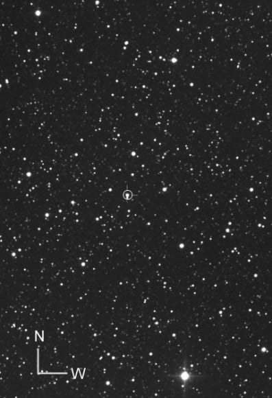 Photo showing the possible nova in Cygnus. The star is described as being tinted red. Credit: Gianluca Masi