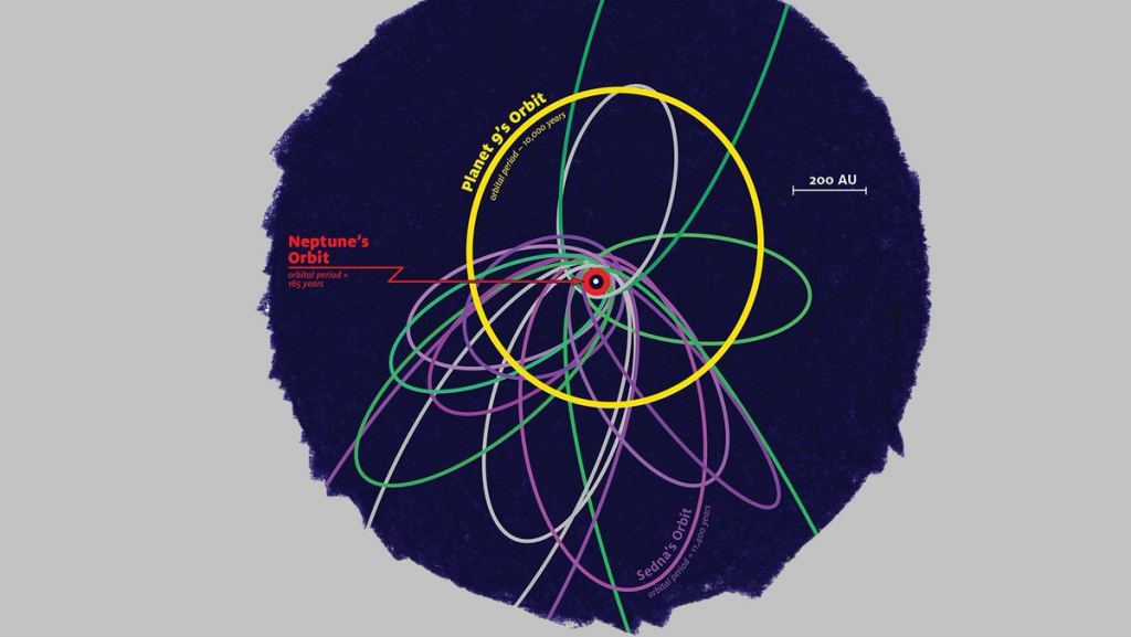This illustration depicts orbits of distant Kuiper Belt objects and Planet Nine. Orbits rendered in purple are primarily controlled by Planet Nine's gravity and exhibit tight orbital clustering. Green orbits, on the other hand, are strongly coupled to Neptune, and exhibit a broader orbital dispersion. Image Credit:
James Tuttle Keane/Caltech