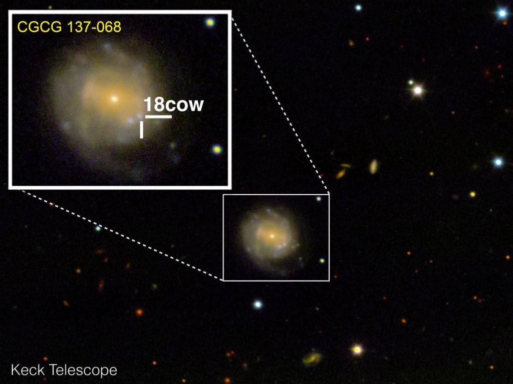 AT 2018cow was a powerful explosion up to 100 times brighter than a supernova. It's one of the few reported FBOTs. This image shows The Cow approximately 80 days after the explosion from the W.M. Keck Observatory in Maunakea, Hawaii. The Cow is nestled in the CGCG 137-068 galaxy, 200 million light years from Earth. Image Credit: Raffaella Margutti/Northwestern University