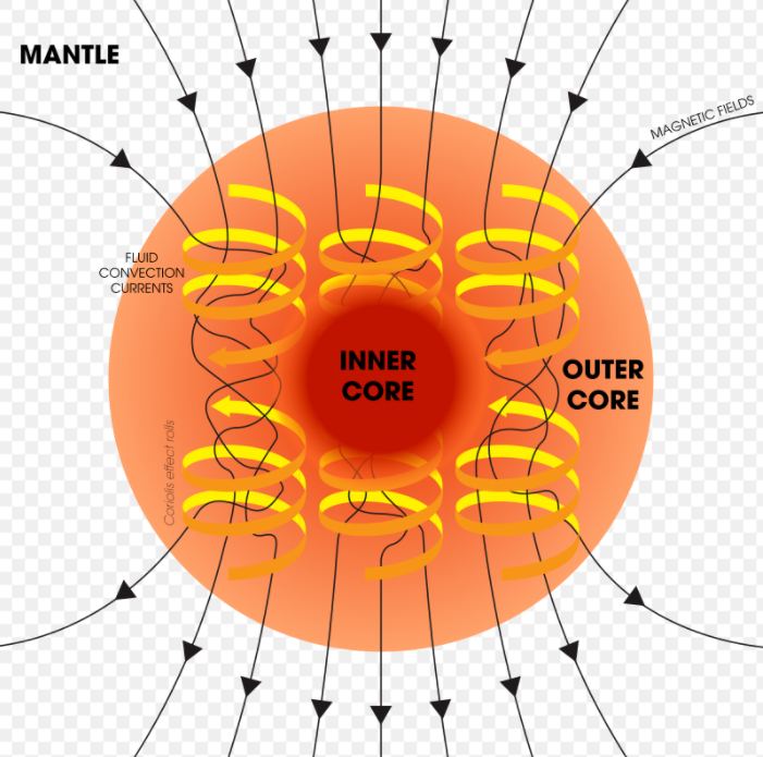 This schematic illustrates the relationship between the motion of conducting fluid, organized into rolls by the Coriolis force, and the magnetic field the motion generates. Image Credit: By Andrew Z. Colvin - Own work, CC BY-SA 4.0, https://commons.wikimedia.org/w/index.php?curid=98901558