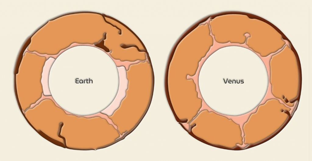 This image shows how Earth and Venus differ. On Earth, active plate tectonics sheds the planet's heat, and mantle plumes tend to be far away from subducting plates. On Venus, the plate is stagnant, with only small local pieces of the plate being subducted in the same location as mantle plumes. Image Credit: This graphic by Fabio Crameri based on Crameri et al. (2017) is available via the open-access s-Ink repository. https://creativecommons.org/licenses/by-sa/4.0/