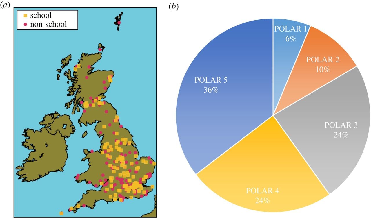 The sawn, exposed surfaces of samples from the hydrothermal system showing hydrothermal samples, dissolution cavities, and other features. Image Credit: Kring et al, 2020.