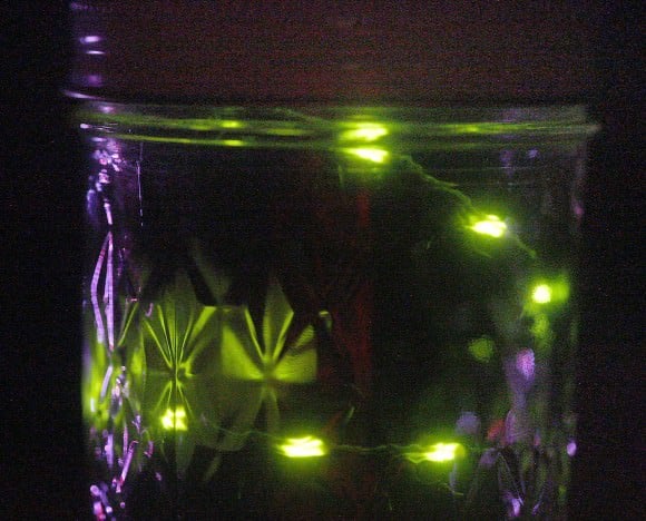 One of my favorite memories from childhood was running around on summer nights collecting fireflies in a glass jar. Credit: Bob King