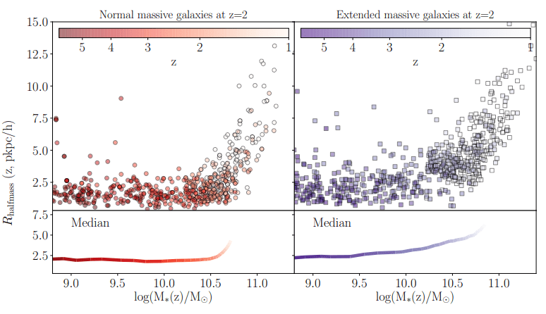This figure from the study helps explain the results. On the left are normal massive galaxies, on the right are the extended, or