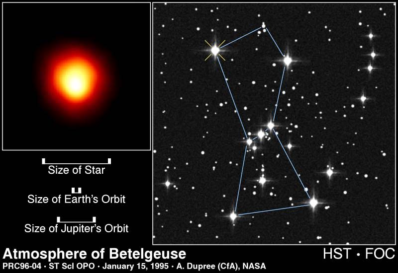 Betelgeuse, as seen by the Hubble Space Telescope. Betelgeuse is the upper left star in the constellation Orion. Credit: NASA