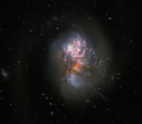 An HST image of the interacting galaxies in IC 1623. They are plunging headlong into one another in a process known as a galactic merger. That ignited a frenzied spate of star formation known as a starburst, creating new stars at a rate more than twenty times that of the Milky Way galaxy.