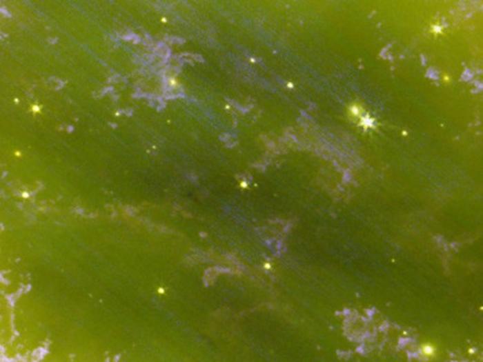 A close-up of the central region of the Ring Nebula. The brightest star is the very hot progenitor of the nebula. Courtesy JWST Ring Nebula Project.