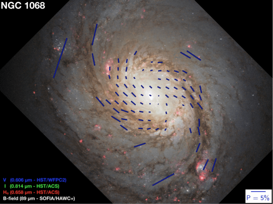 A composite Hubble image of M 77 with magnetic field lines overlaid in blue. Image Credit: Lopez-Rodriguez et al 2019.