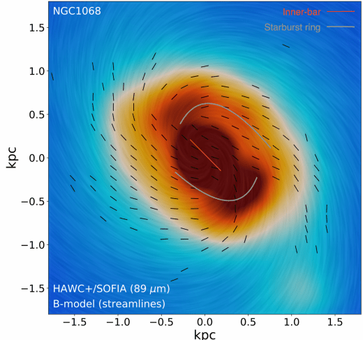 A total flux (color scale) image of M 77 with overlaid magnetic fields and polarization. This image also shows the inner bar of the galaxy and the starburst ring. Again, the polarization vectors have been rotated 90 degrees to show the magnetic field lines. Image Credit: Lopez-Rodriguez et al 2019.
