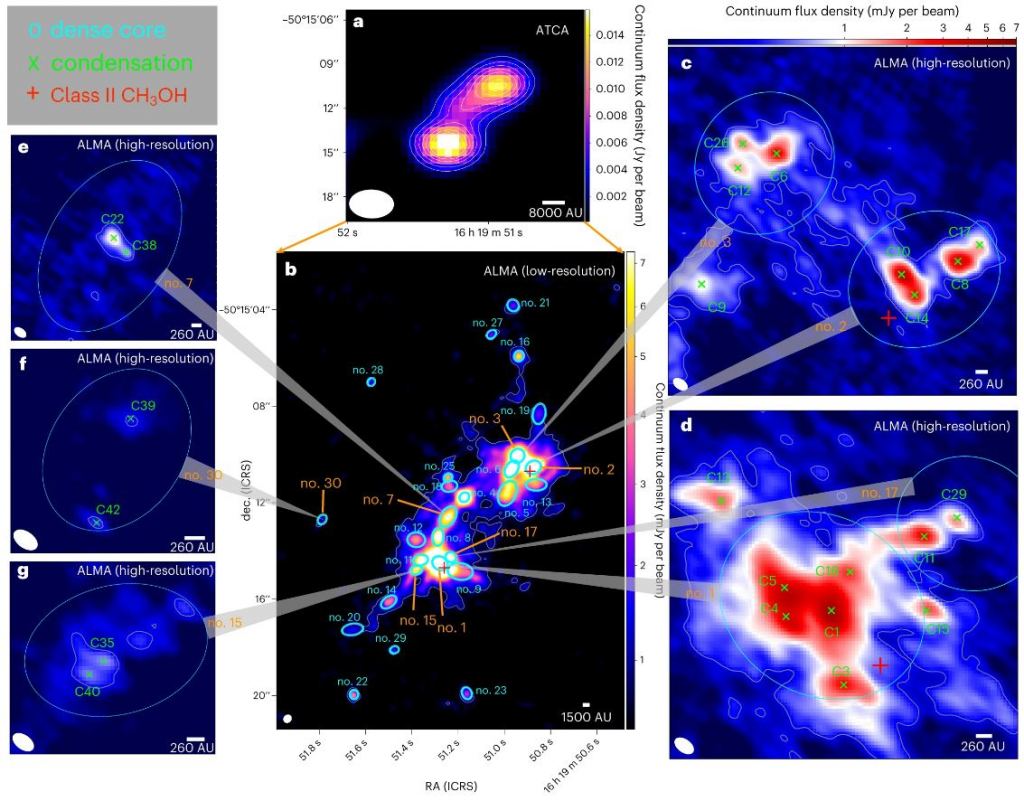 This multi-pane image illustrates the research and the ALMA observations. a is an image of G333.23–0.06 from the Australian Telescope Compact Array showing very little detail. b is ALMA's low-resolution image of the star-forming region. c, d, e, f, and g are high-resolution ALMA images showing dense cores fragmenting into multiple massive stars. Image Credit: Li et al. 2024.
