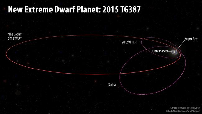 Dwarf planet 2015 TG387, or Goblin, has an orbit that takes it much further from the Sun than other Inner Oort Cloud Objects Sedna and 2012 VP113. Could its orbit, and the similar orbits of other objects, be caused by disc of icy material? Image: Roberto Molar Candanosa and Scott Sheppard, courtesy of Carnegie Institution for Science.