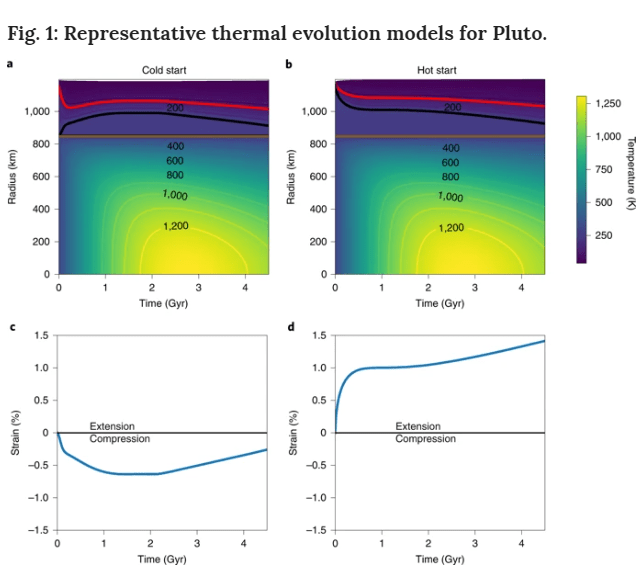 This figure form the study compares the cold start model (left) with the hot start model (right). On the top panels, the solid brown line indicates the top of the rocky core, and the black line the top of the ocean. The red line indicates the nominal base of the elastic layer. The lower panel shows the extension/compression strains on Pluto's surface for each model. Image Credit: Bierson et al, 2020.