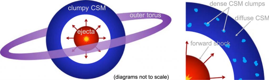 This diagram shows a clumpy circumstellar medium surrounding SN 2010jl. As the expanding ejecta strikes dense clumps in the CSM, some of the shock waves bounce back toward the SN. Dust forms in the cooling region between the two shock waves. The outer torus is what caused the supernova's infrared luminosity. Image Credit: Bevan et al. 2020.