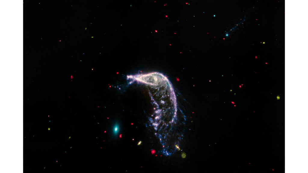 Webb’s mid-infrared view of interacting galaxies Arp 142 seems to sing in primary colors. The background of space is like a yawning darkness speckled with bright, multi-colored beads.
This image was taken by MIRI, the telescope’s Mid-Infrared Instrument, which astronomers use to study cooler and older objects, dust, and extremely distant galaxies.
Here, the Egg appears as an exceptionally small teal oval with gauzy layers. Mid-infrared light predominantly shows the oldest stars in the elliptical galaxy, which has lost or used up most of its gas and dust. This is why the view is so different from the combined image, which includes near-infrared light.NASA, ESA, CSA, STScI