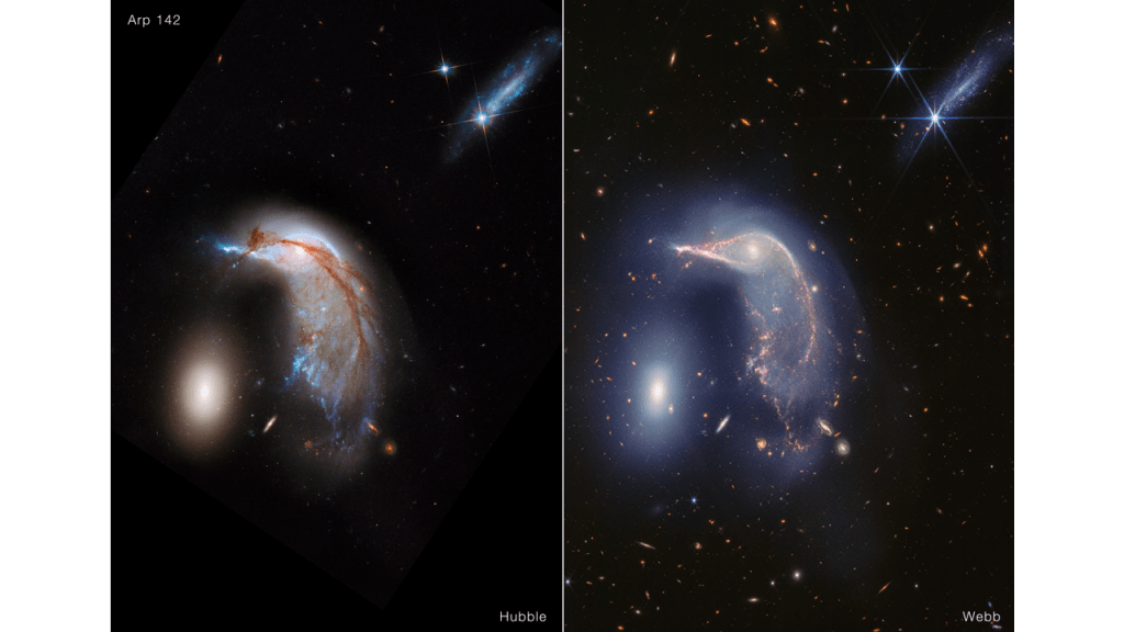 The Hubble Space Telescope captured visible light when observing Arp 142, nicknamed the Penguin and the Egg, in 2013.
At right is the James Webb Space Telescope’s near-infrared light view of the same region. Courtesy NASA, ESA, CSA, STScI