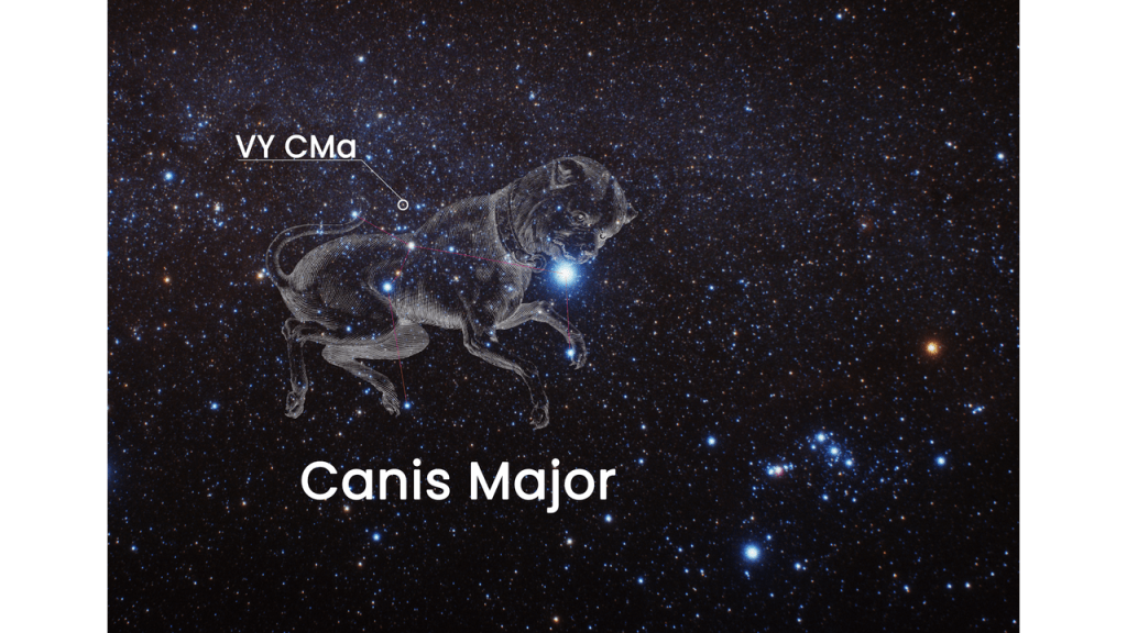 Where VY Canis Majoris is located in the sky relative to Canis Major, the constellation it is closest to.