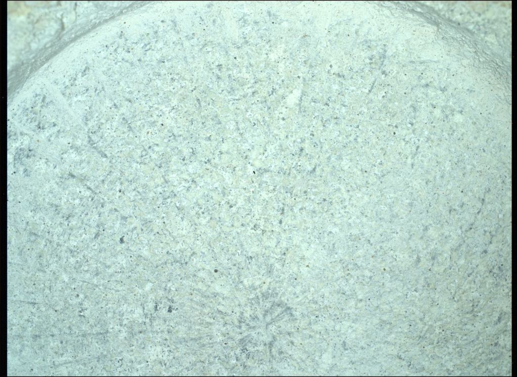 Perseverance used its Scanning Habitable Environments with Raman and Luminescence for Organics and Chemicals (SHERLOC) instrument to examine the Serpentine Lake rock. The rock shows a high concentration of serpentine, indicating that it was exposed to water for a long time, a hint of Mars' potential ancient habitability. Its unusual texture also hints at complex geological processes. Image Credit: NASA/JPL-Caltech