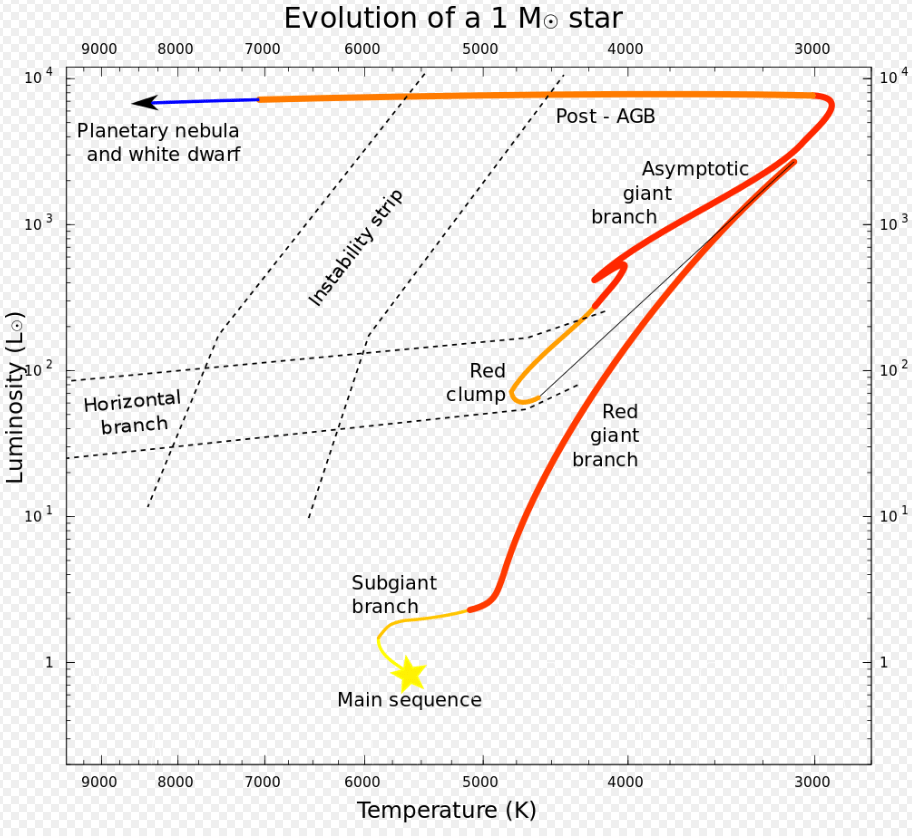 Our Sun, and any star with the same mass, will follow a common evolutionary path. Once it leaves the main sequence, after hydrogen burning is complete, it becomes a red giant, then a white dwarf. <Click to enlarge.> Image Credit: By Lithopsian - Own work, CC BY-SA 4.0, https://commons.wikimedia.org/w/index.php?curid=48486177