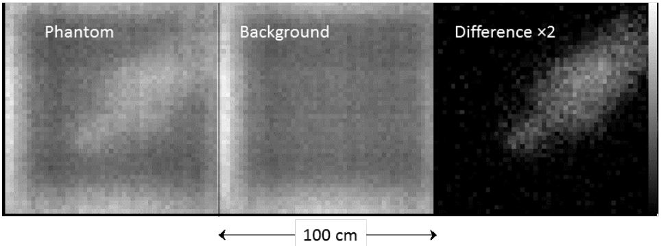 This image from the study shows the stopping radiography results of their muon work. Image Credit: Morris et al 2021.