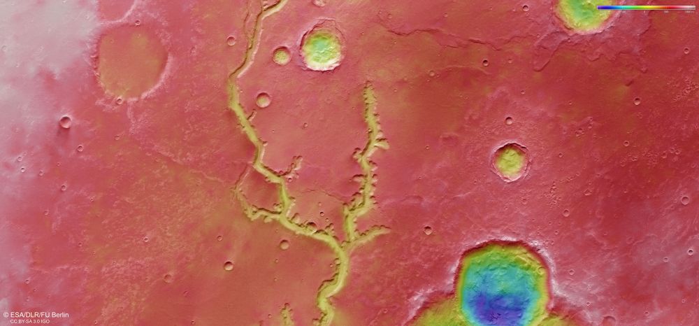 A topographic image of Nirgal Vallis. Blue and purple are lower elevation that red and yellow. Image Credit: ESA/DLR/FU Berlin, CC BY-SA 3.0 IGO
