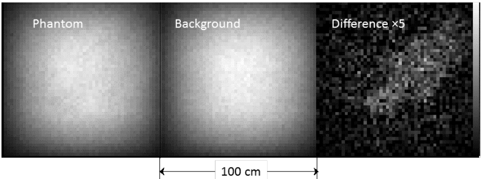 This image from the study shows the transmission radiography results of their muon work. Image Credit: Morris et al 2021.
