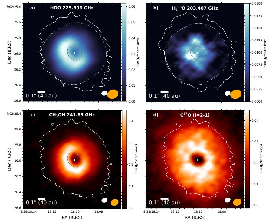 This image from the research shows the intensity of water and other molecules at V883 Orionis. HDO is semi-heavy water with one deuterium atom. H218O is water enriched with O18, a natural stable isotope of oxygen. CH3OH is methanol, and C17O is carbon monoxide contain Carbon 17, an unstable carbon isotope. Each molecule has different sublimation temperatures, so their locations and concentrations tell astronomers a lot about the disk surrounding the young protostar. Image Credit: Tobin et al. 2023.