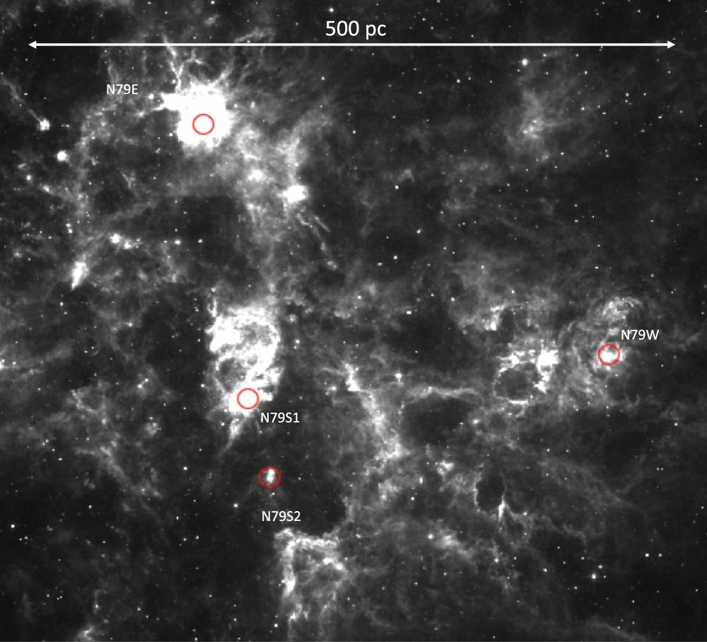 This image from the new research shows the N79 region in the LMC. Each of the red circles is a massive young stellar object of at least eight solar masses. Image Credit: Nayak et al. 2025.