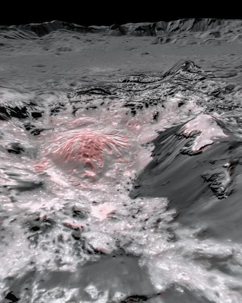 This mosaic image uses false colour to highlight the recently exposed brine, or salty liquids, that were pushed up from a deep reservoir under Ceres' crust. In this view of a region of Occator Crater, they appear reddish. This evidence supports the idea that Ceres' has an internal reservoir of water and chemicals. Credit: NASA/JPL-Caltech/UCLA/MPS/DLR/IDA