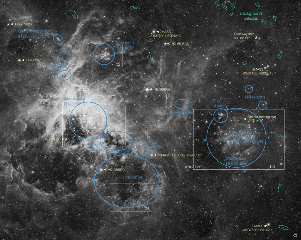 This annotated map identifies several prominent features in an image of the Tarantula Nebula. Credit: NASA, ESA, D. Lennon and E. Sabbi (ESA/STScI), J. Anderson, S. E. de Mink, R. van der Marel, T. Sohn, and N. Walborn (STScI), N. Bastian (Excellence Cluster, Munich), L. Bedin (INAF, Padua), E. Bressert (ESO), P. Crowther (Sheffield), A. de Koter (Amsterdam), C. Evans (UKATC/STFC, Edinburgh), A. Herrero (IAC, Tenerife), N. Langer (AifA, Bonn), I. Platais (JHU) and H. Sana (Amsterdam)