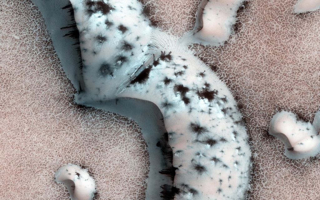 This HiRISE image shows different dark shapes and bright spots on sand dunes in Mars' north pole region. The bright spots are where frozen CO2 sublimated into gas and erupted, spreading darker material on the surface. Image Credit: NASA/JPL-Caltech/Univ. of Arizona