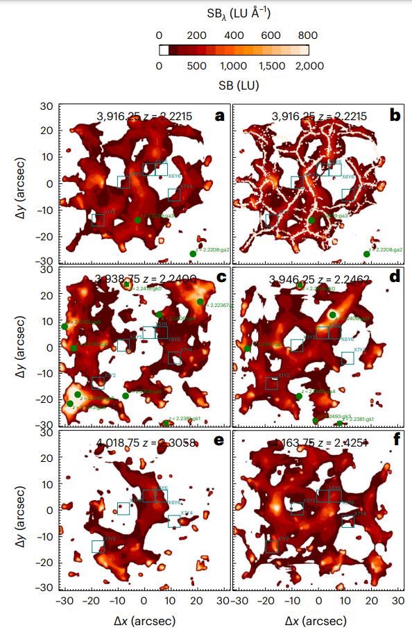 This figure from the study shows some of the intricate work needed to create the image of the cosmic web. Green circles are known galaxies, and green squares are regions where some specific spectra are extracted. Panels a, c, d, e, and f are different redshifts, denoted by z ranges. Panel b shows how the cosmic web begins to emerge from the KCWI's data. Image Credit: Martin et al. 2023.